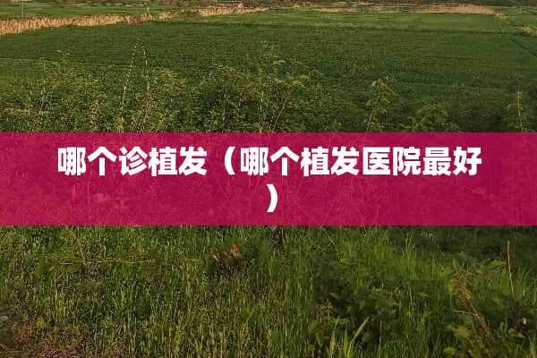 哪个诊植发（哪个植发医院最好）