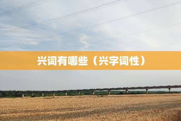 兴词有哪些（兴字词性）