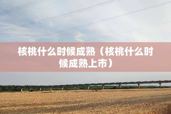 核桃什么时候成熟（核桃什么时候成熟上市）