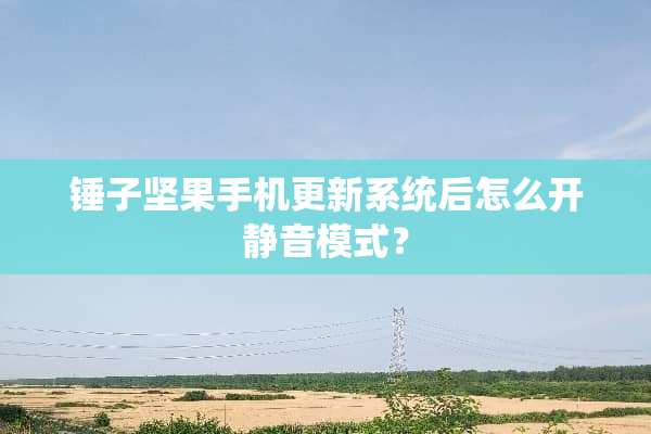 锤子坚果手机更新系统后怎么开静音模式？