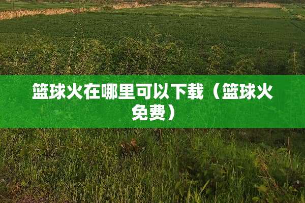 篮球火在哪里可以下载（篮球火免费）