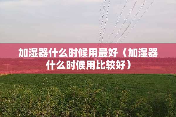 加湿器什么时候用最好（加湿器什么时候用比较好）