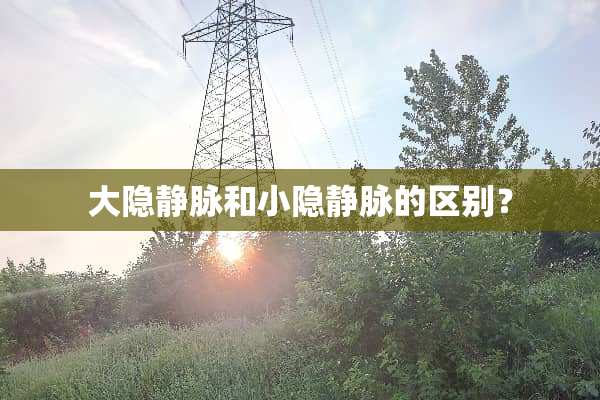 大隐静脉和小隐静脉的区别？