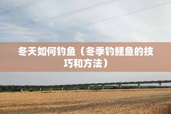 冬天如何钓鱼（冬季钓鲤鱼的技巧和方法）
