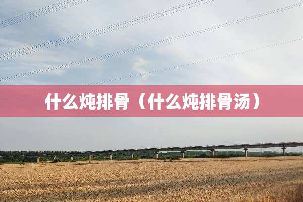 什么炖排骨（什么炖排骨汤）