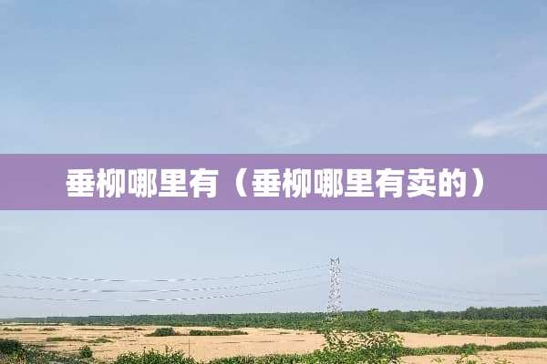 垂柳哪里有（垂柳哪里有卖的）