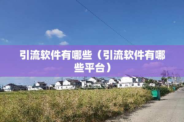 引流软件有哪些（引流软件有哪些平台）