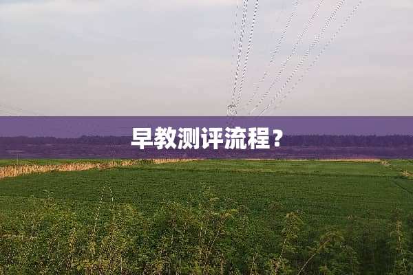 早教测评流程？