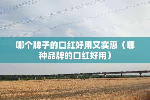 哪个牌子的口红好用又实惠（哪种品牌的口红好用）
