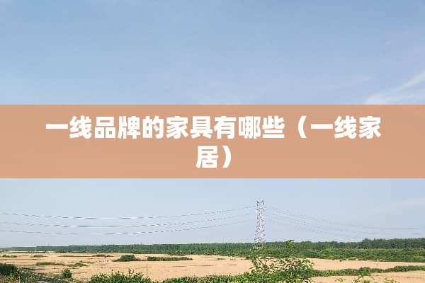 一线品牌的家具有哪些（一线家居）