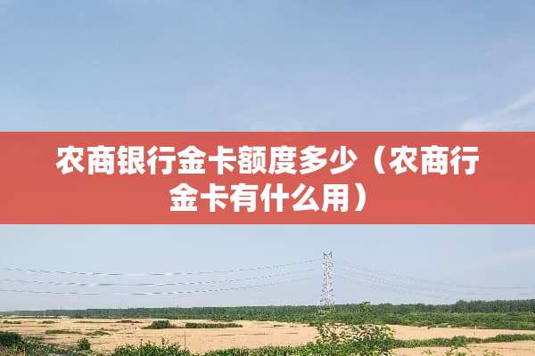 农商银行金卡额度多少（农商行金卡有什么用）