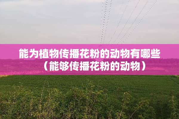 能为植物传播花粉的动物有哪些（能够传播花粉的动物）