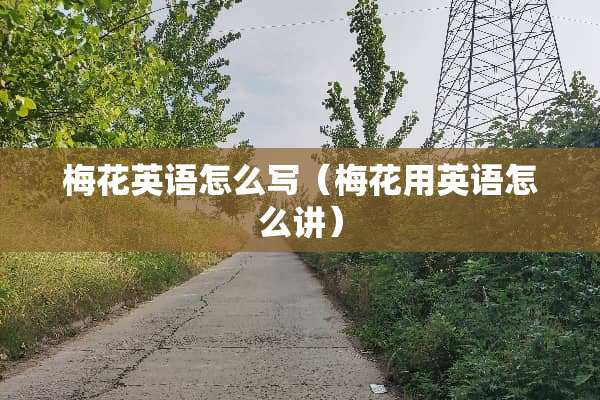 梅花英语怎么写（梅花用英语怎么讲）
