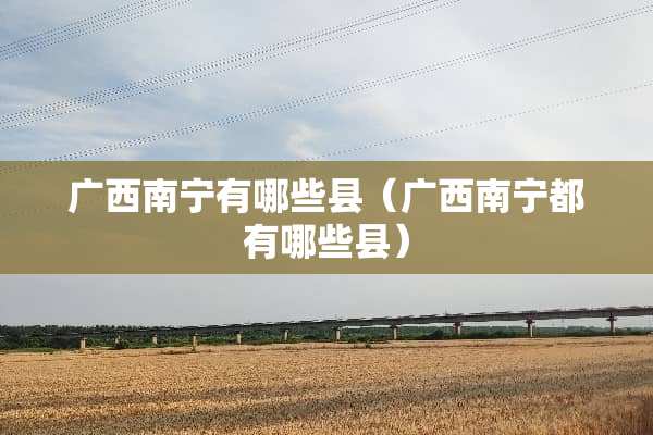 广西南宁有哪些县（广西南宁都有哪些县）