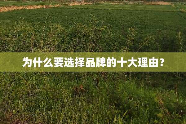 为什么要选择品牌的十大理由？