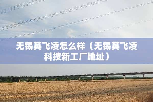 无锡英飞凌怎么样（无锡英飞凌科技新工厂地址）