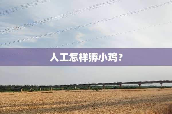 人工怎样孵小鸡？