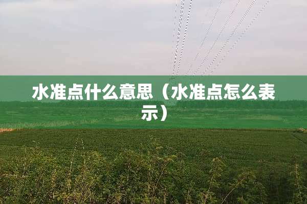 水准点什么意思（水准点怎么表示）