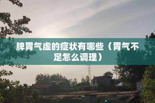 脾胃气虚的症状有哪些（胃气不足怎么调理）