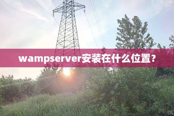 wampserver安装在什么位置？