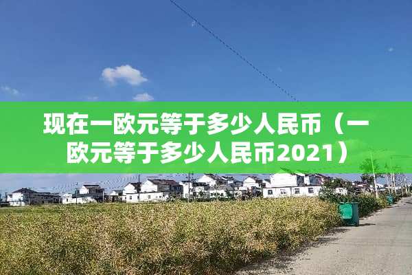 现在一欧元等于多少人民币（一欧元等于多少人民币2021）