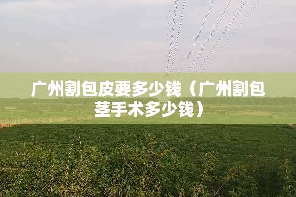 广州割包皮要多少钱（广州割包茎手术多少钱）