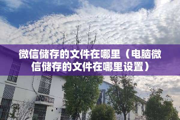 微信储存的文件在哪里（电脑微信储存的文件在哪里设置）