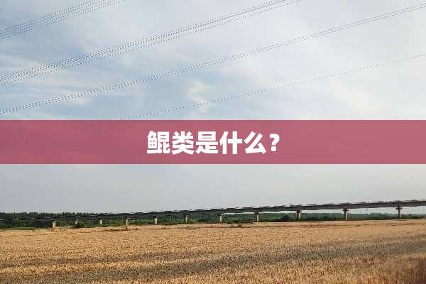 鲲类是什么？