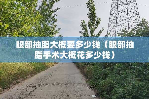 眼部抽脂大概要多少钱（眼部抽脂手术大概花多少钱）