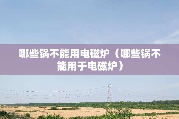 哪些锅不能用电磁炉（哪些锅不能用于电磁炉）