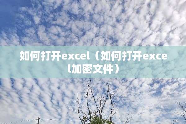 如何打开excel（如何打开excel加密文件）