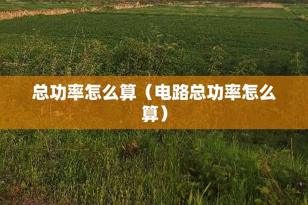 总功率怎么算（电路总功率怎么算）