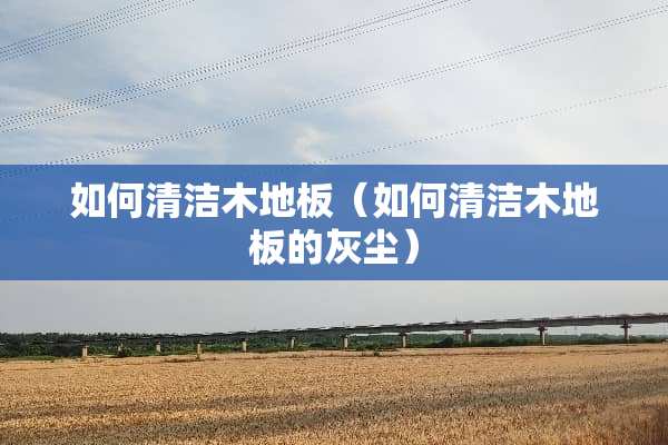 如何清洁木地板（如何清洁木地板的灰尘）