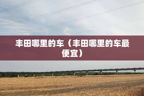 丰田哪里的车（丰田哪里的车最便宜）