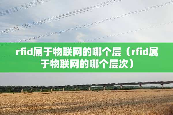 rfid属于物联网的哪个层（rfid属于物联网的哪个层次）
