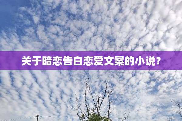 关于暗恋告白恋爱文案的小说？