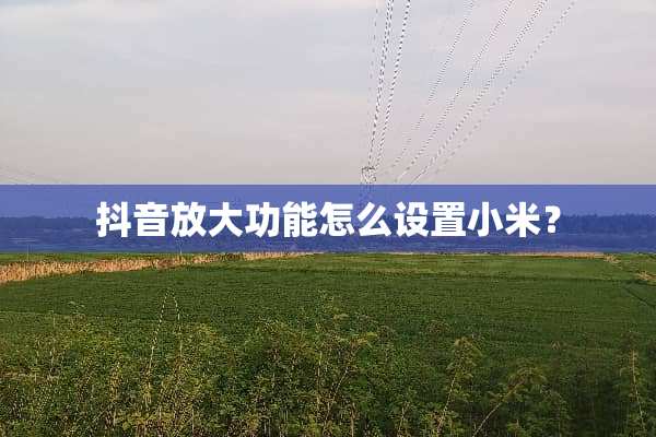 抖音放大功能怎么设置小米？