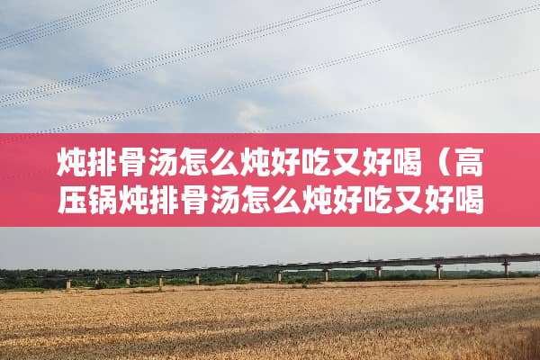 炖排骨汤怎么炖好吃又好喝（高压锅炖排骨汤怎么炖好吃又好喝）