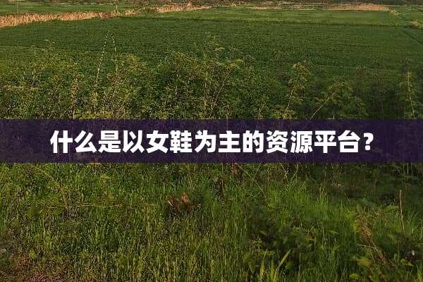 什么是以女鞋为主的资源平台？