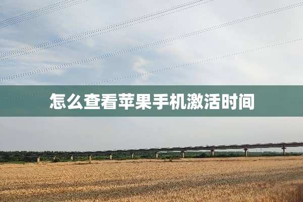 怎么查看苹果手机激活时间