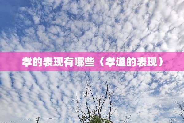 孝的表现有哪些（孝道的表现）