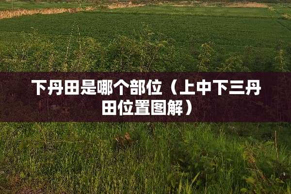 下丹田是哪个部位（上中下三丹田位置图解）
