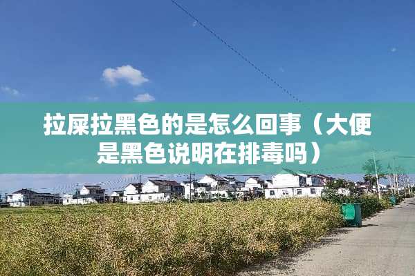 拉屎拉黑色的是怎么回事（大便是黑色说明在排毒吗）