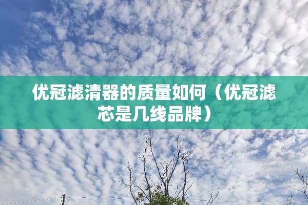优冠滤清器的质量如何（优冠滤芯是几线品牌）