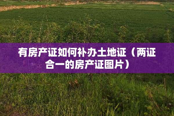 有房产证如何补办土地证（两证合一的房产证图片）