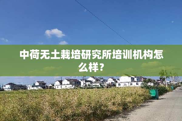 中荷无土栽培研究所培训机构怎么样？