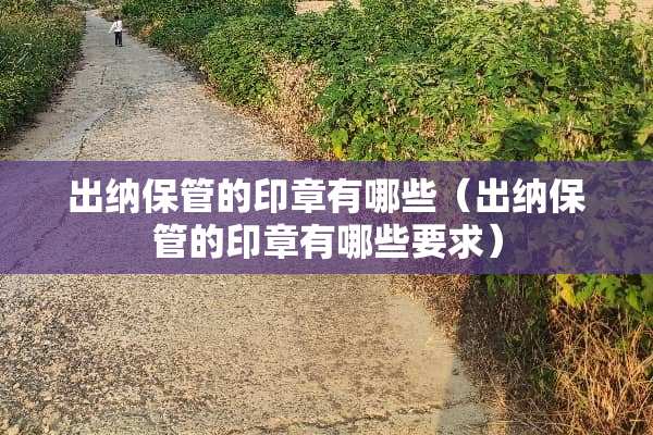 出纳保管的印章有哪些（出纳保管的印章有哪些要求）