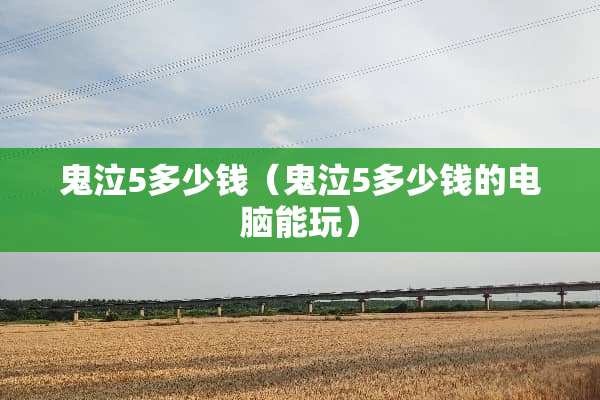 鬼泣5多少钱（鬼泣5多少钱的电脑能玩）