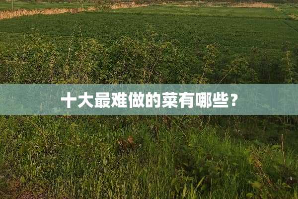 十大最难做的菜有哪些？