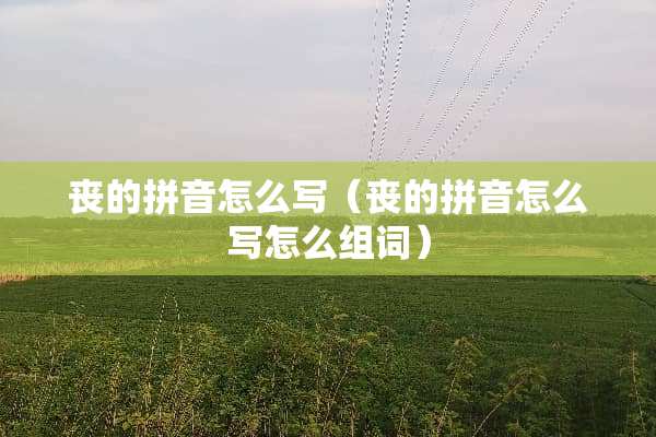 丧的拼音怎么写（丧的拼音怎么写怎么组词）